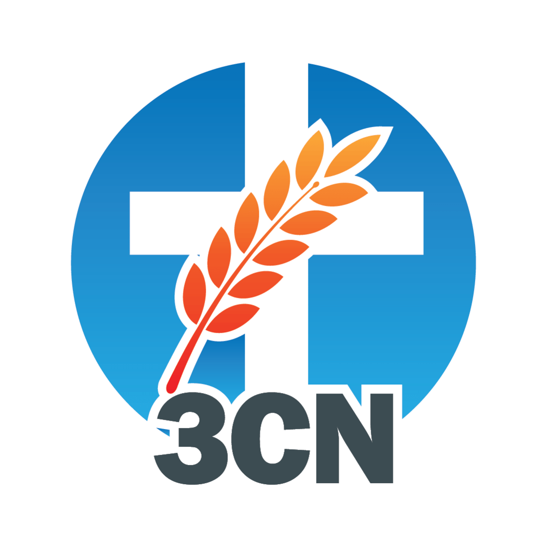 3CN Logo Format 01 Preview image